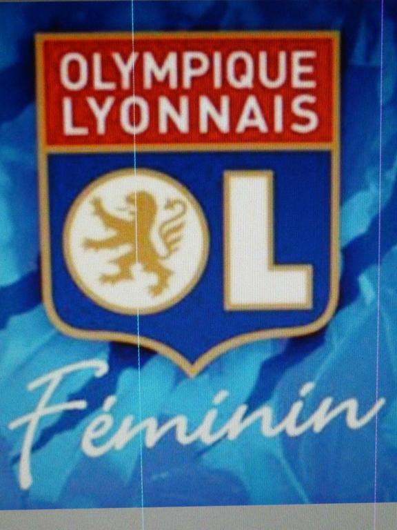 Laennec Hotel Lyon Bagian luar foto
